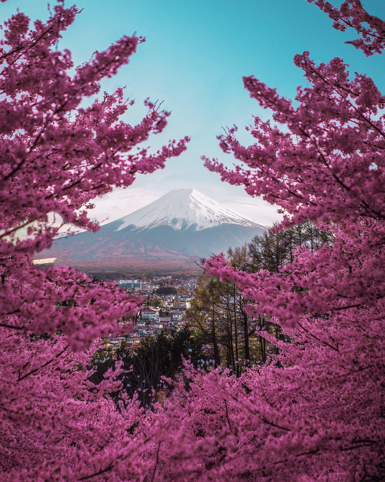 Mt. Fuji in the spring. iPhone X Wallpaper X Wallpaper HD