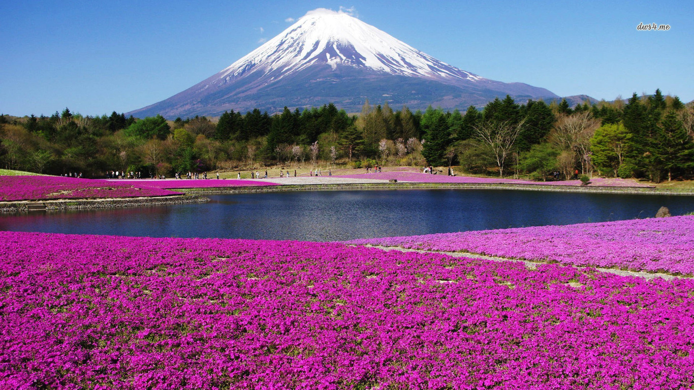 Mount Fuji Wallpaper and Background Imagex768
