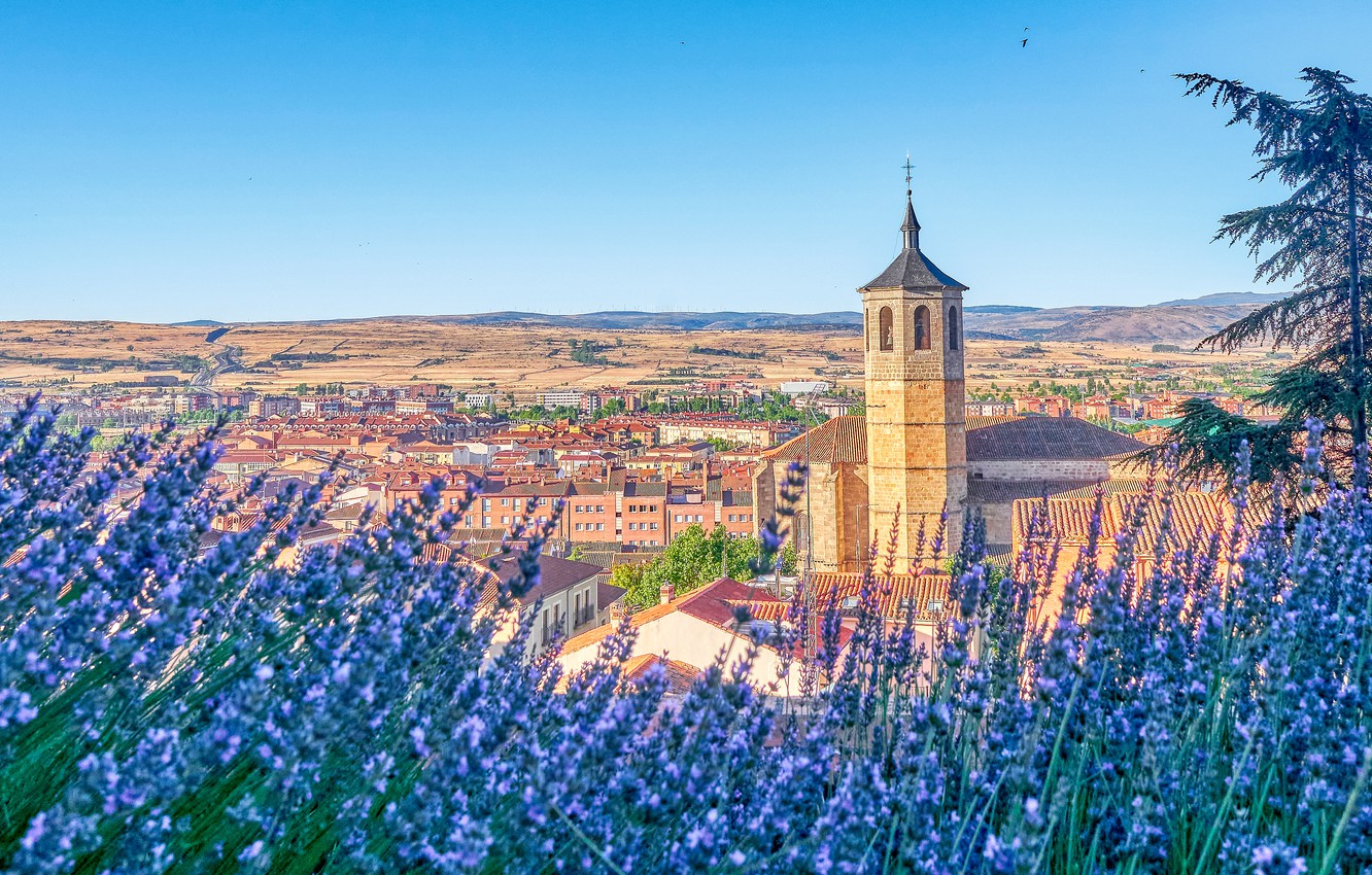 Wallpaper flowers, tree, building, tower, home, Church, panorama, Spain, lavender, Spain, the bell tower, Avila, Avila, Bell Tower, Church of Santiago, Church Of St. James image for desktop, section город