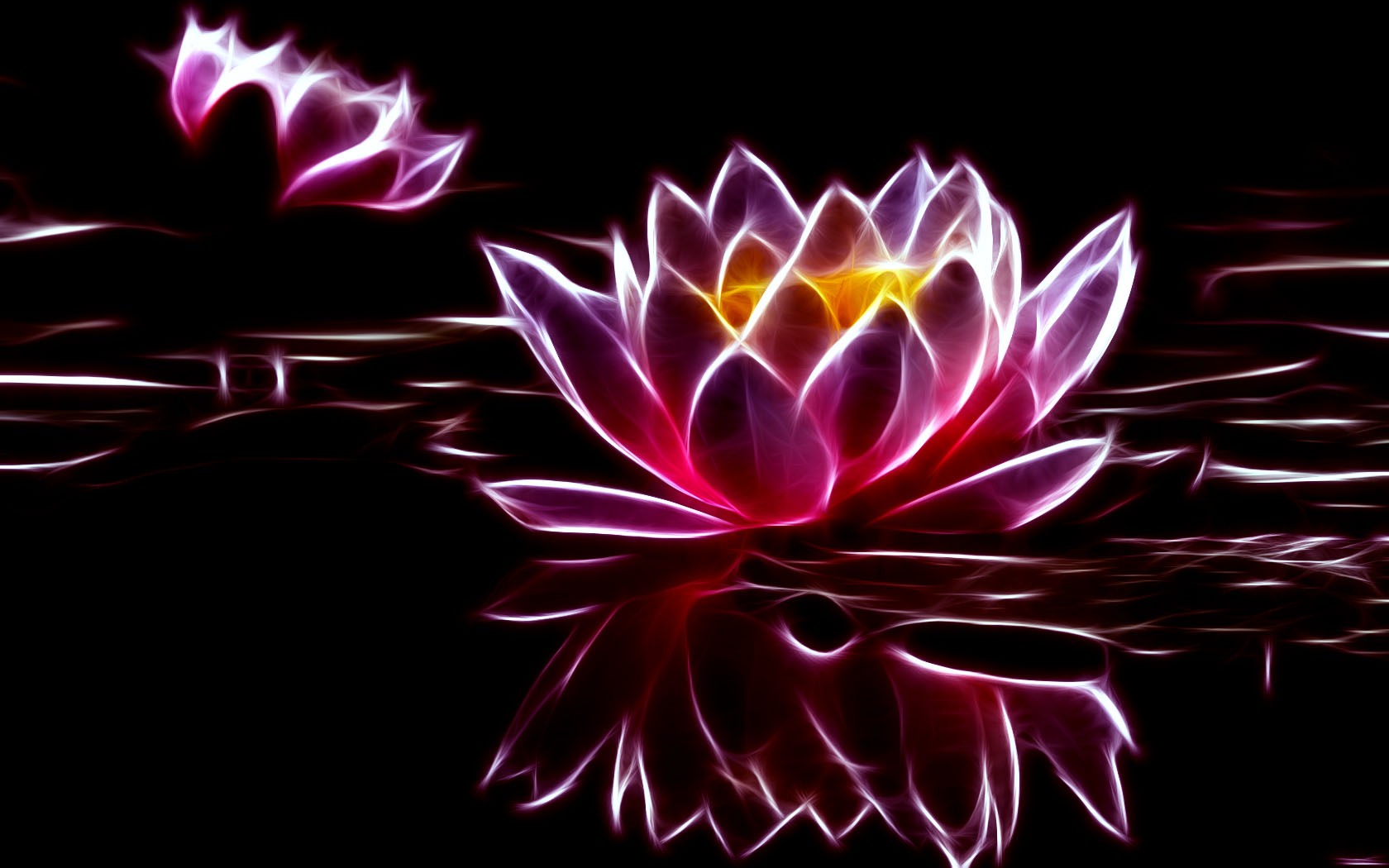 Waterlily Wallpapers - Wallpaper Cave