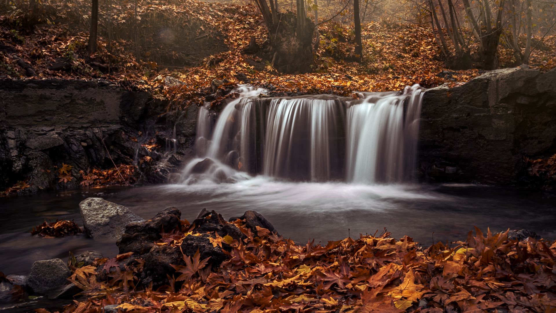 2021 Autumn Wallpapers - Wallpaper Cave