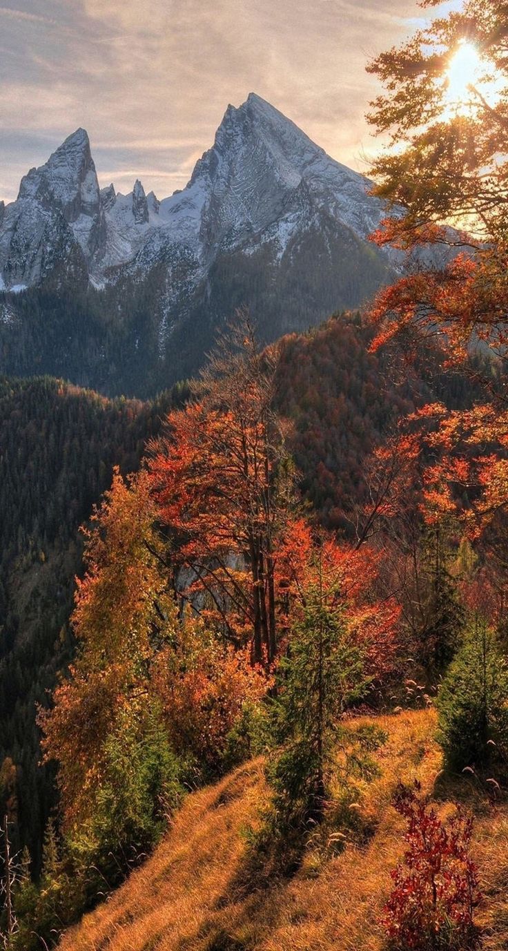 Fall Mountain Background iPhone