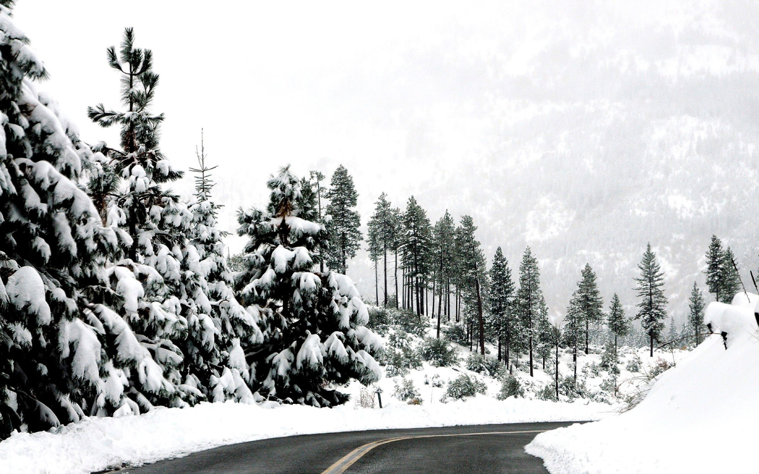Winter Aesthetic  Snow Wallpaper Download  MobCup