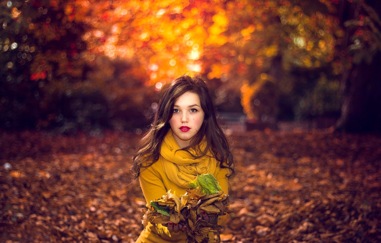 Wallpaper leaves, girl, nature, bokeh, portrait of autumn image for desktop, section настроения