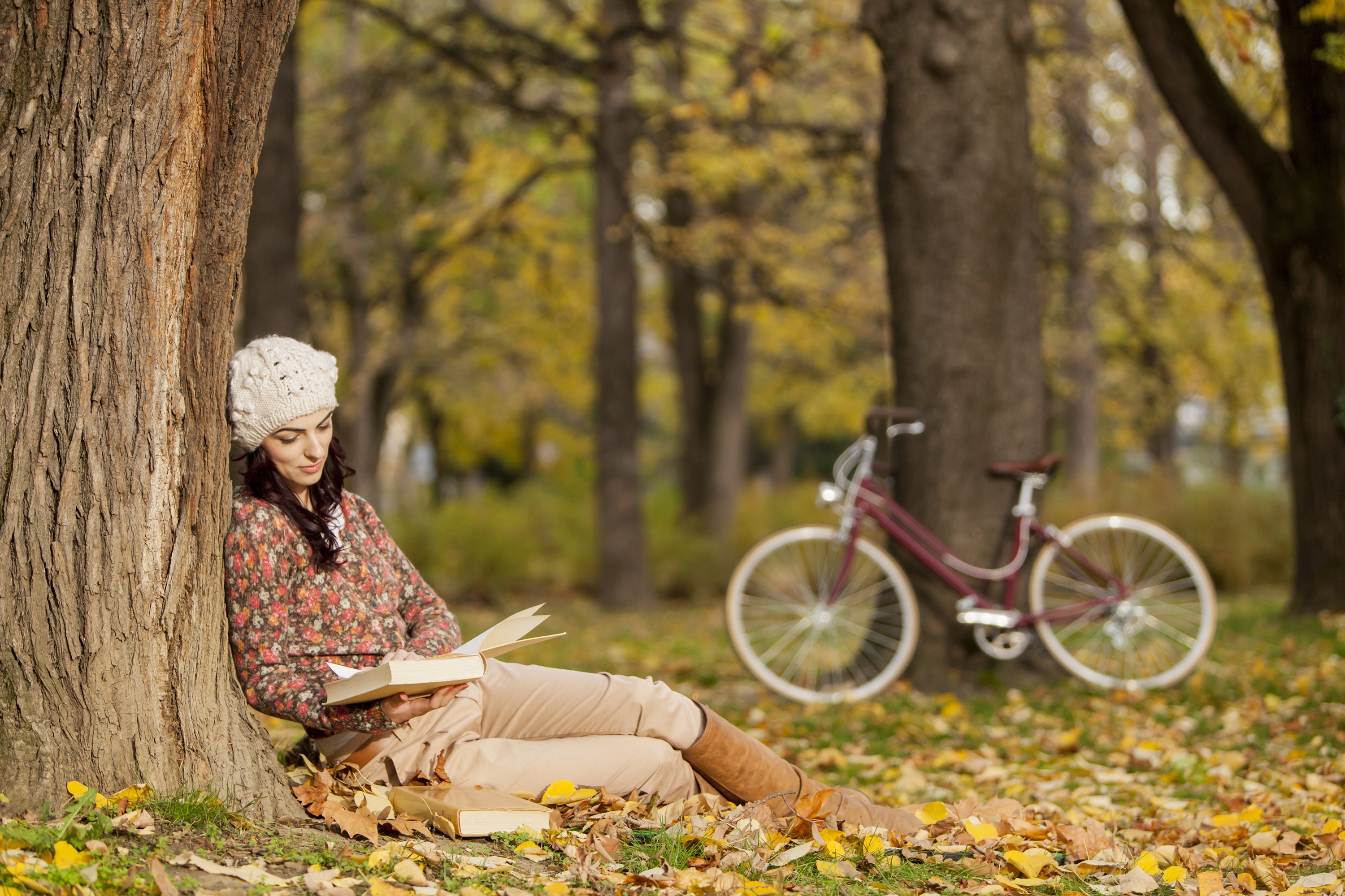 Autumn, Winter hat, Sitting, Trunk tree, Book, Bokeh, Reading Gallery HD Wallpaper