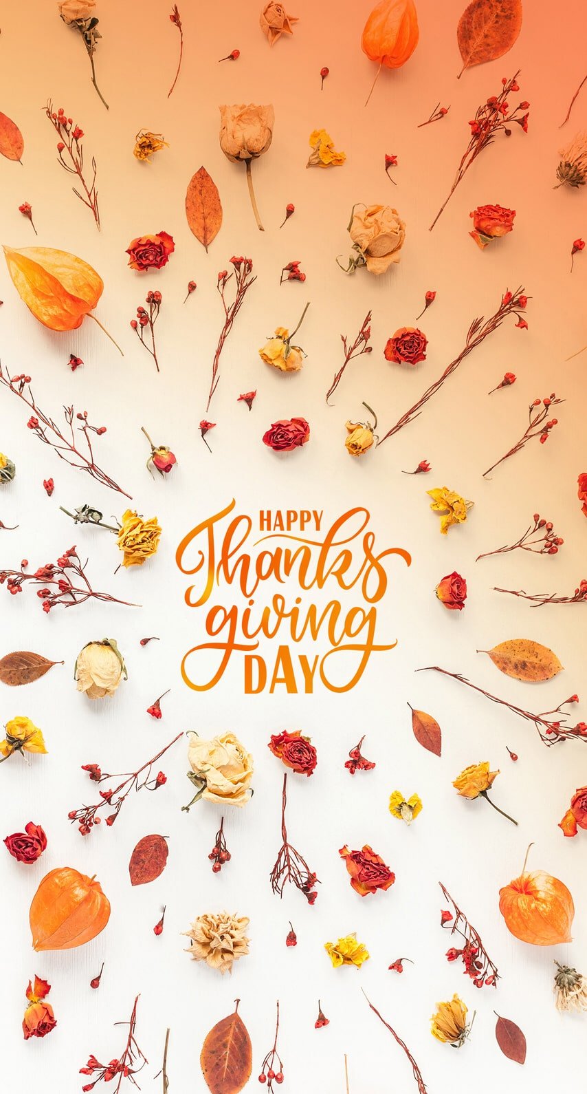 Thanksgiving Day Wallpaper Free HD Wallpaper