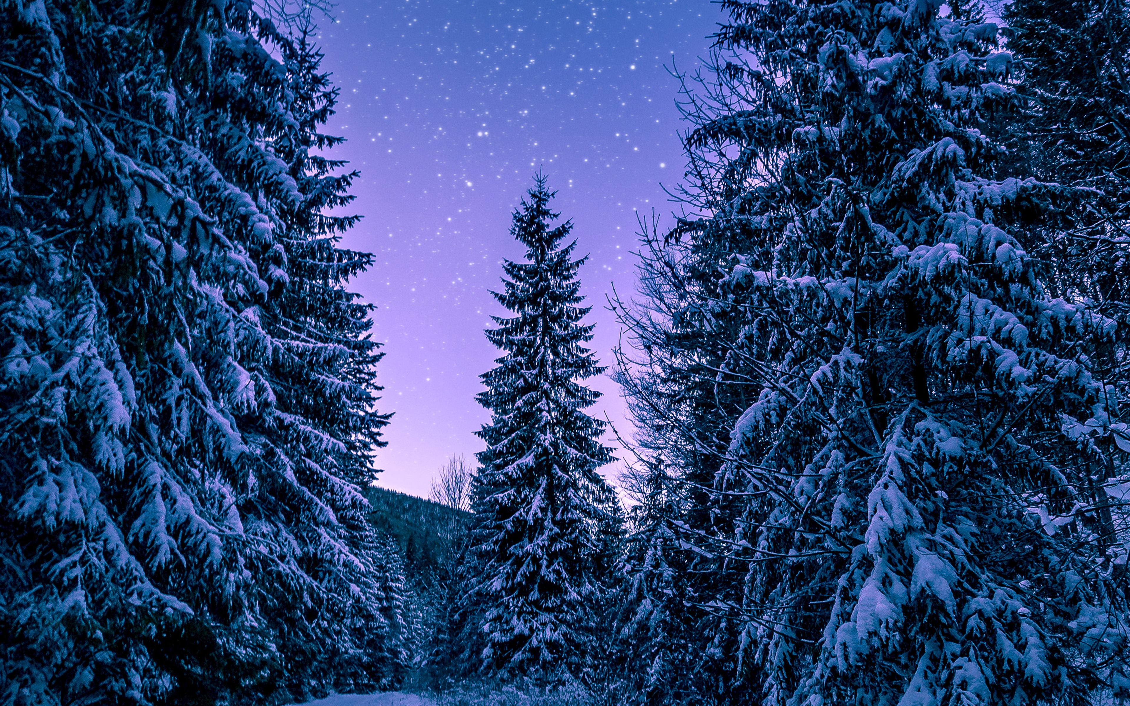 wallpaper for desktop, laptop. snow winter wood tree road night nature