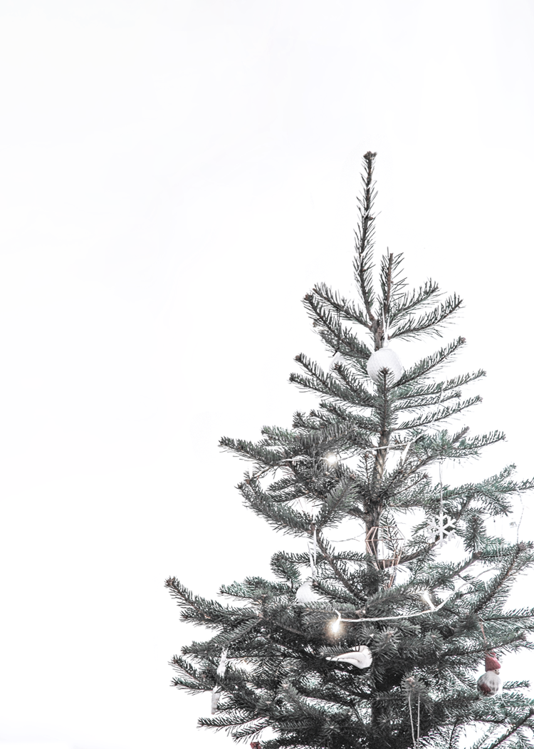 Aesthetic Christmas Tree Png