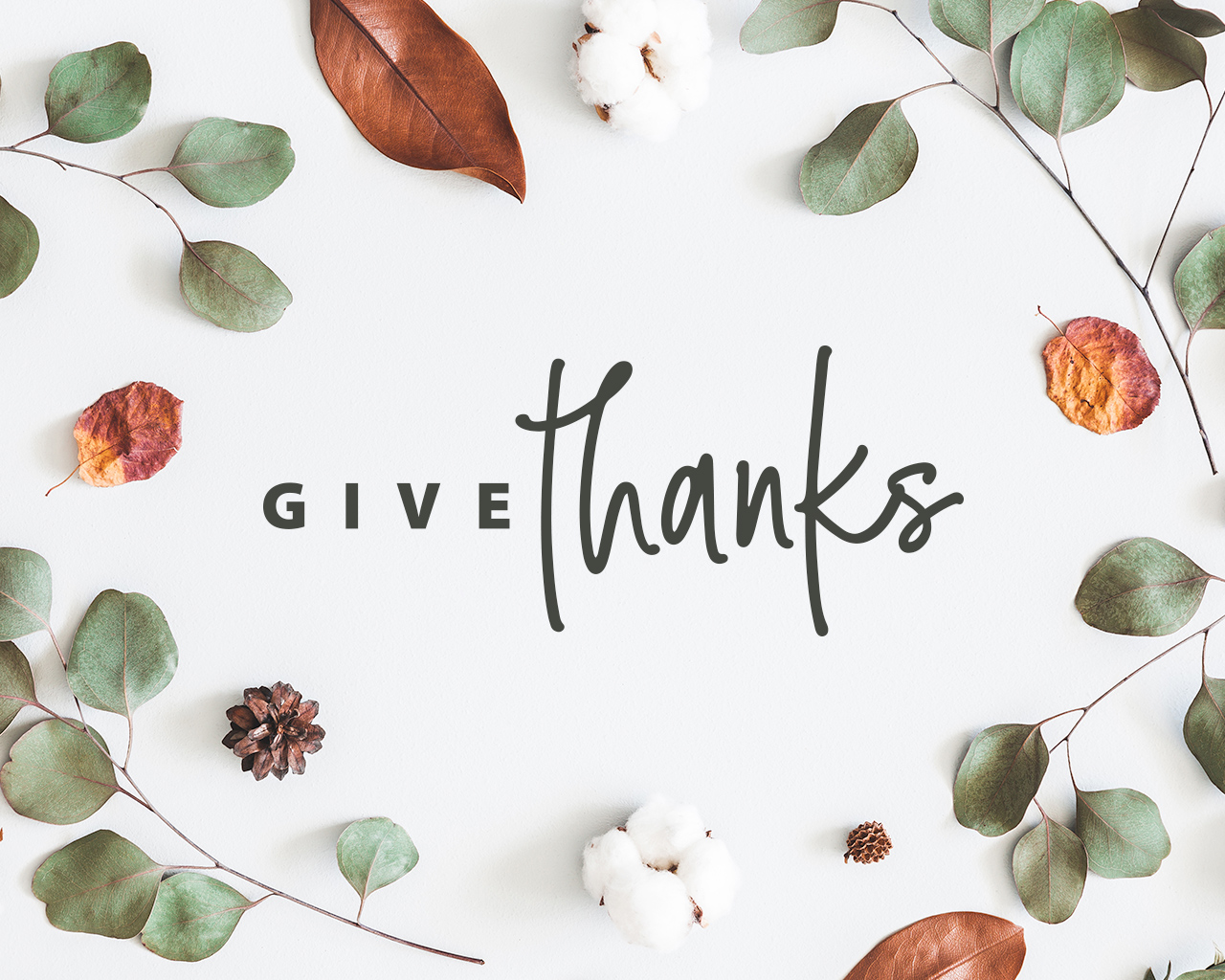 Thanksgiving Wallpaper • FREE Download