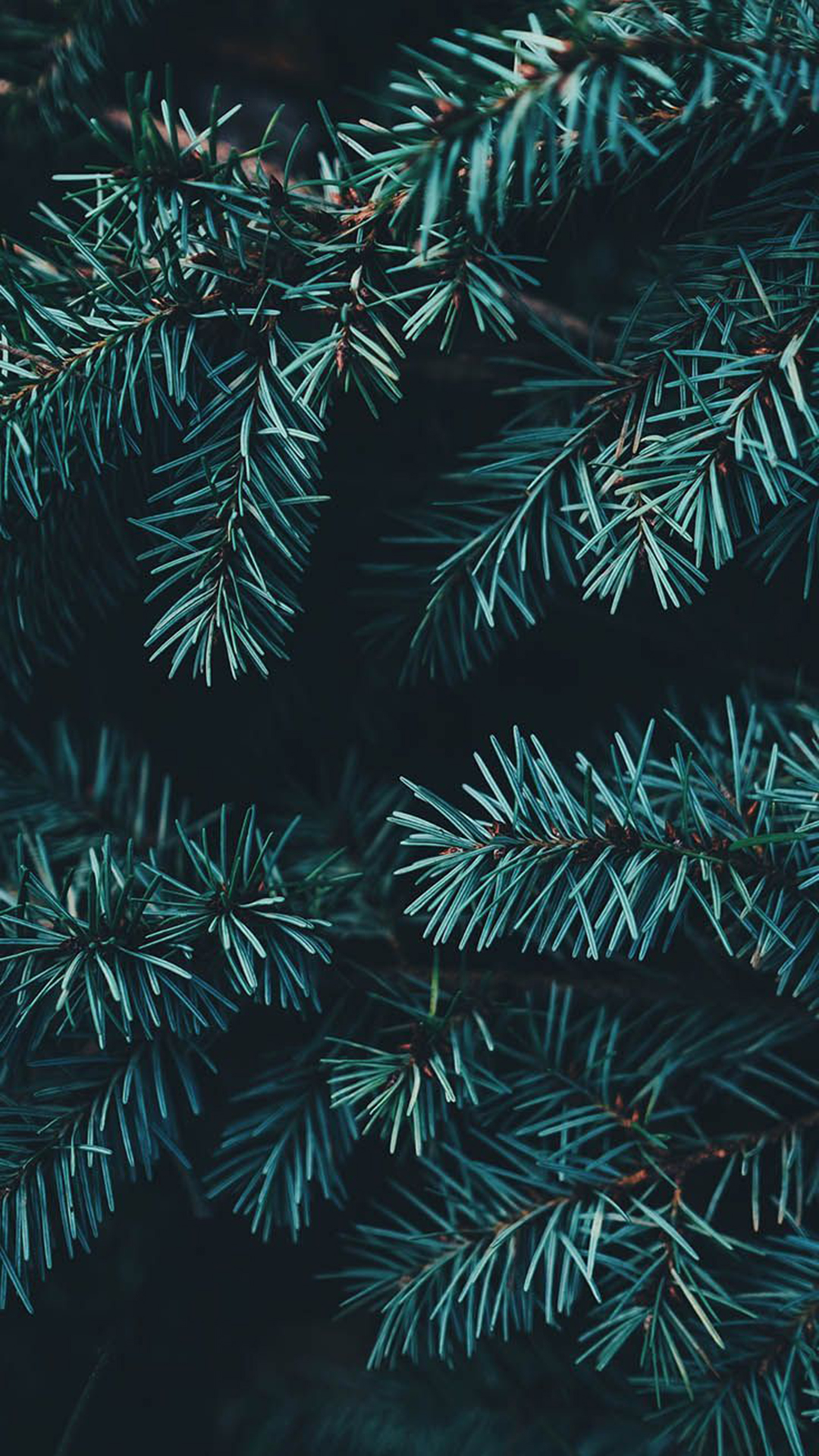 Aesthetic iPhone Christmas Wallpapers - Wallpaper Cave