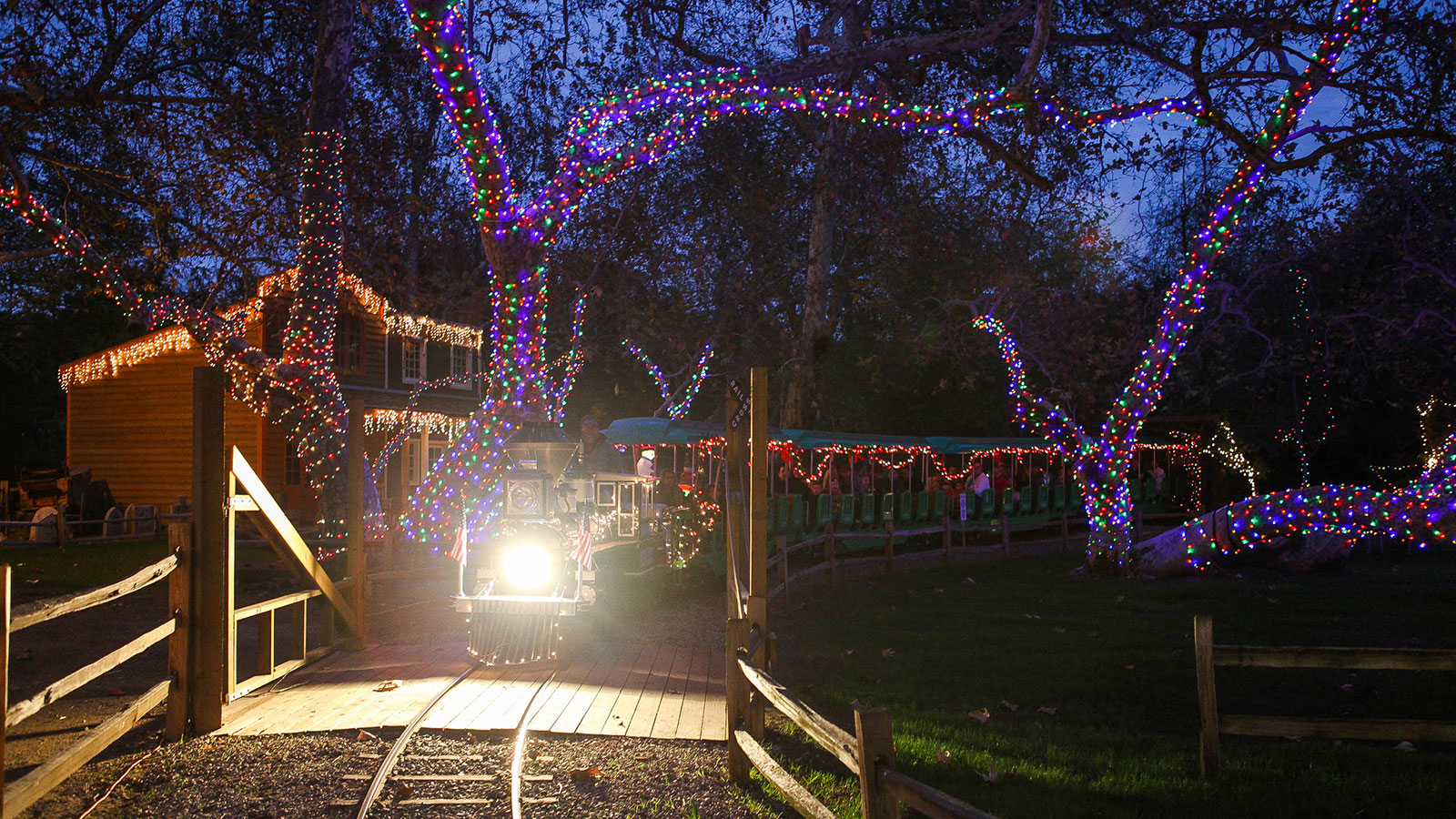 Christmas Train. Christmas Events
