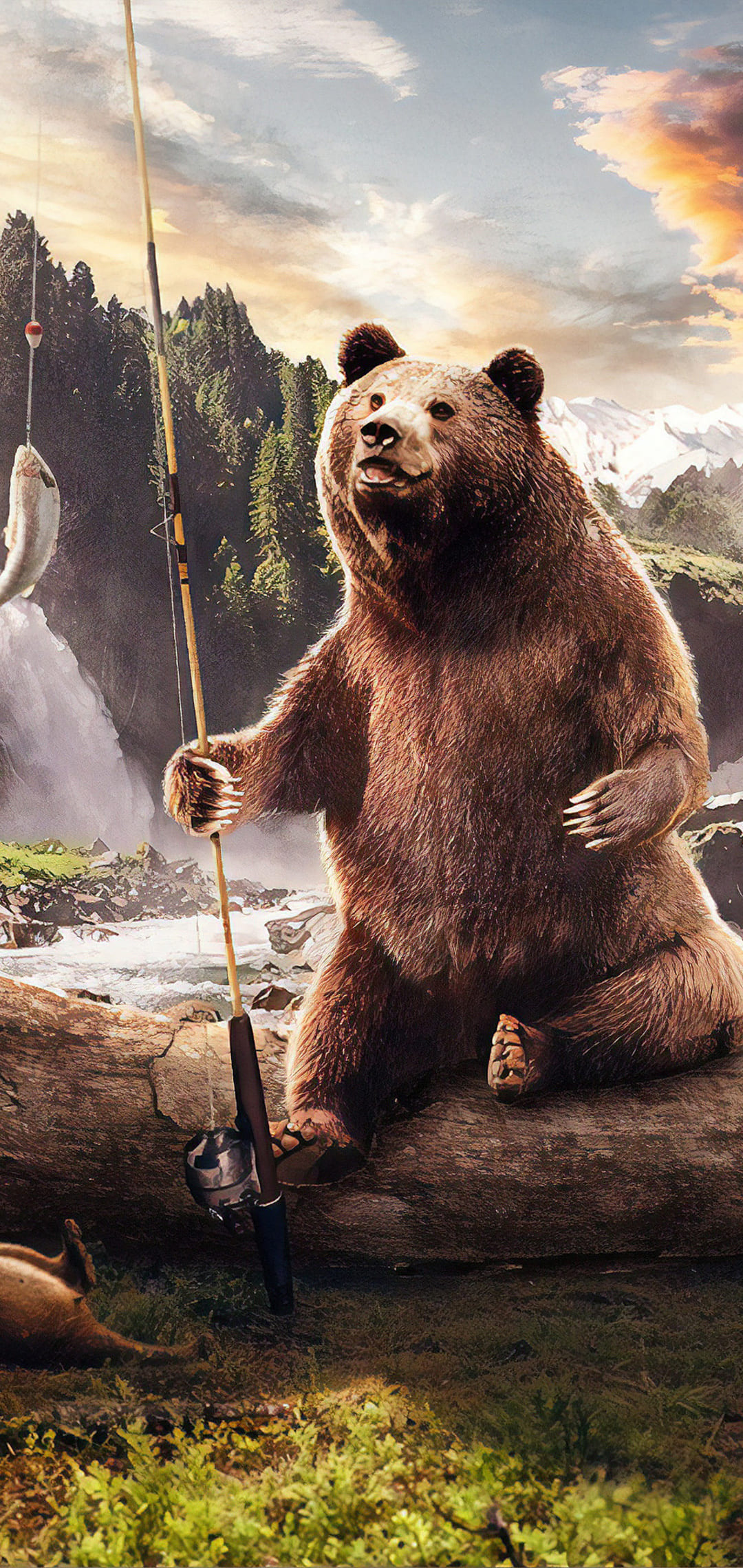 Bear Wallpaper -k Background Download