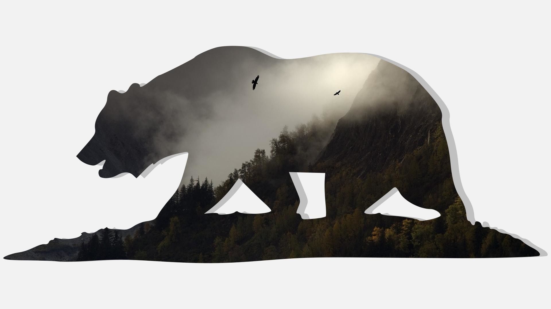 Cali Bear Wallpaper