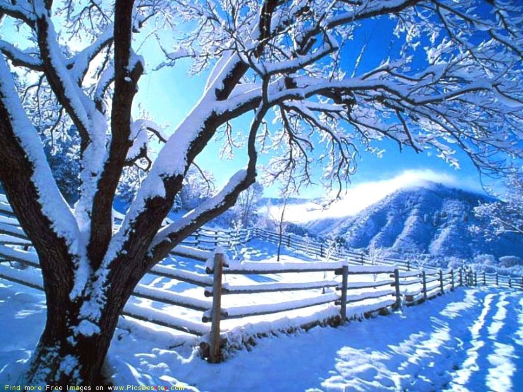 Cold Weather Wallpaper Free Cold Weather Background