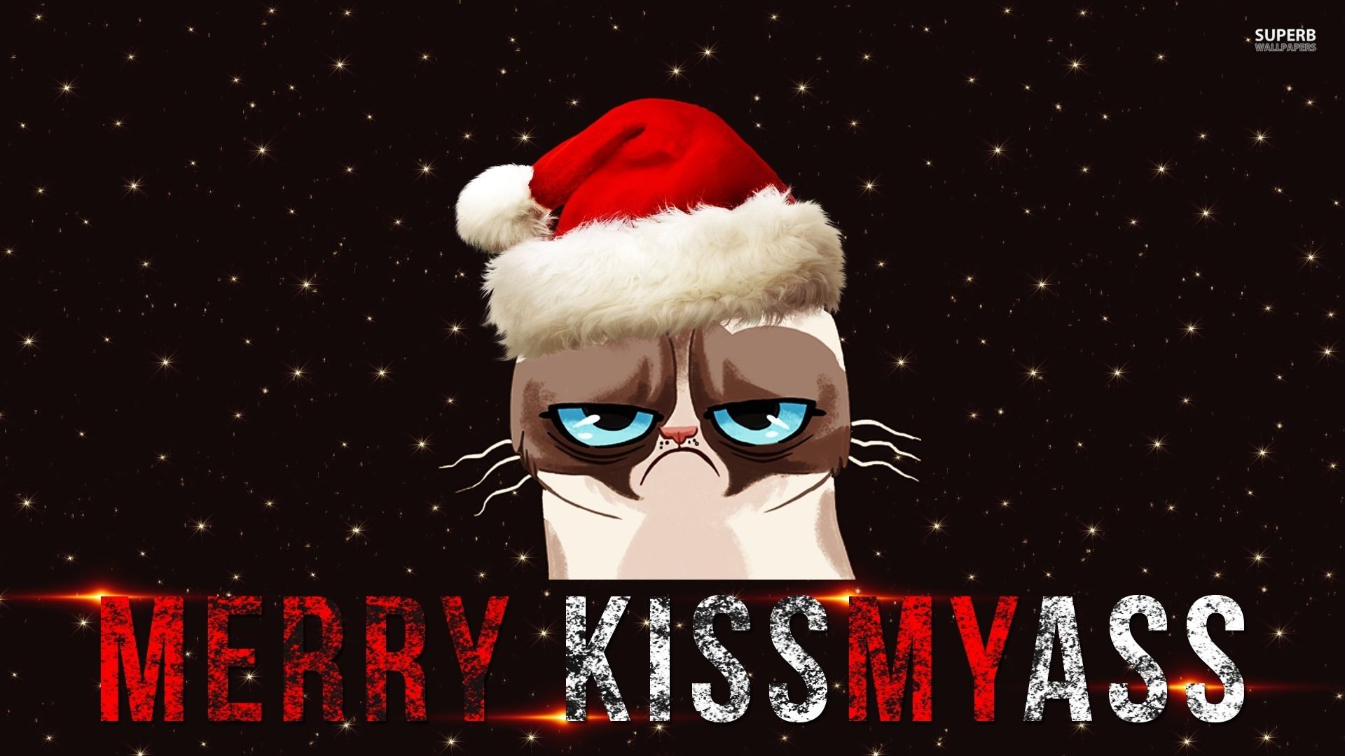 Grumpy Cat Christmas Wallpaper Free Grumpy Cat Christmas Background