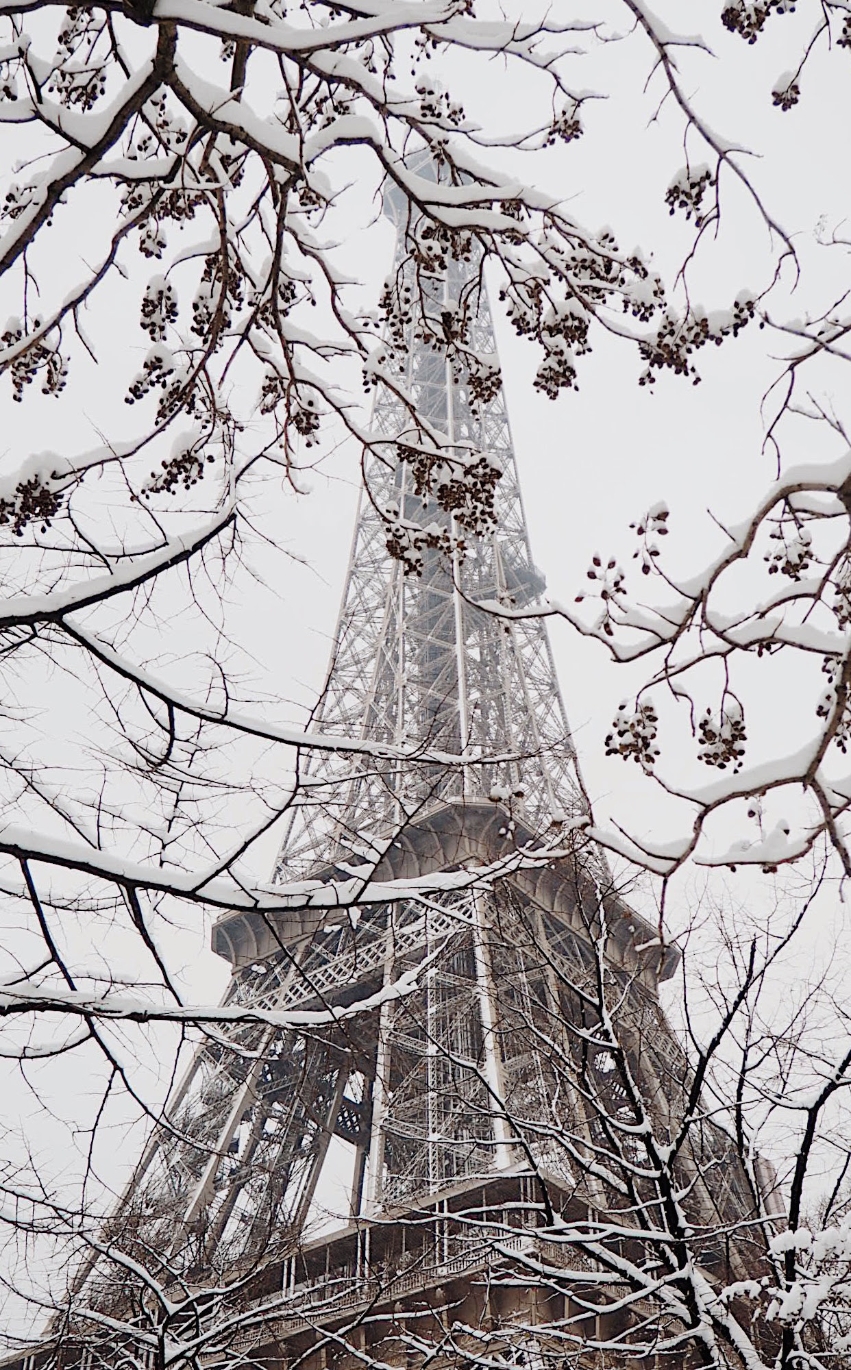 Download Paris Winter iPhone Wallpaper