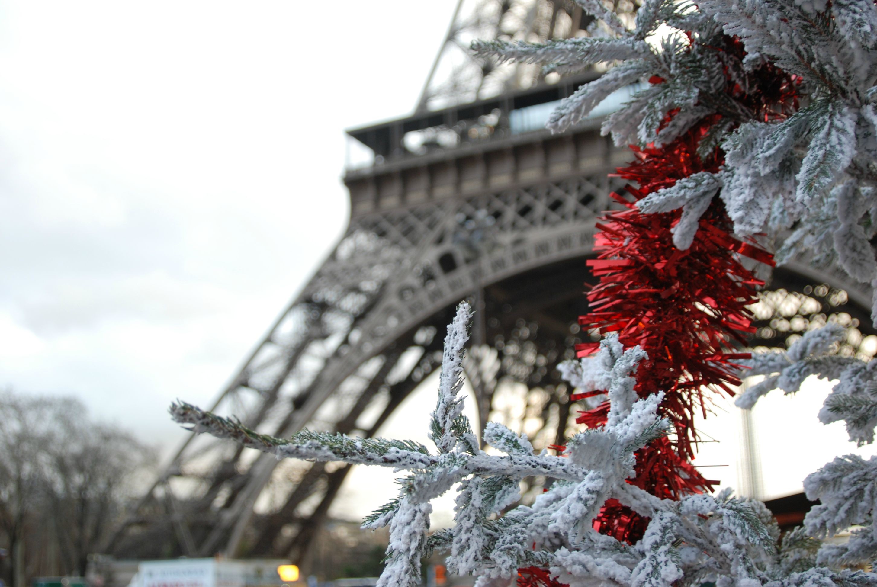 Wallpaper, snow, winter, tower, France, Paris, Eiffel Tower, tree, season, woody plant, christmas decoration 2904x1944
