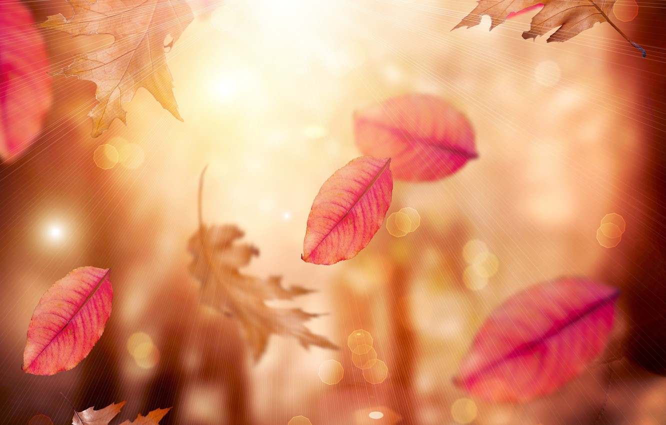 Wallpaper autumn, leaves, falling leaves, blur image for desktop, section разное