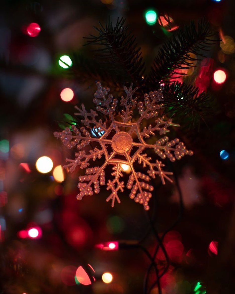 Christmas on Instagram: “