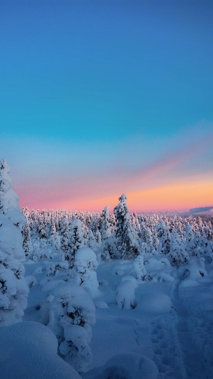 Stylish Wallpaper for your iPhone