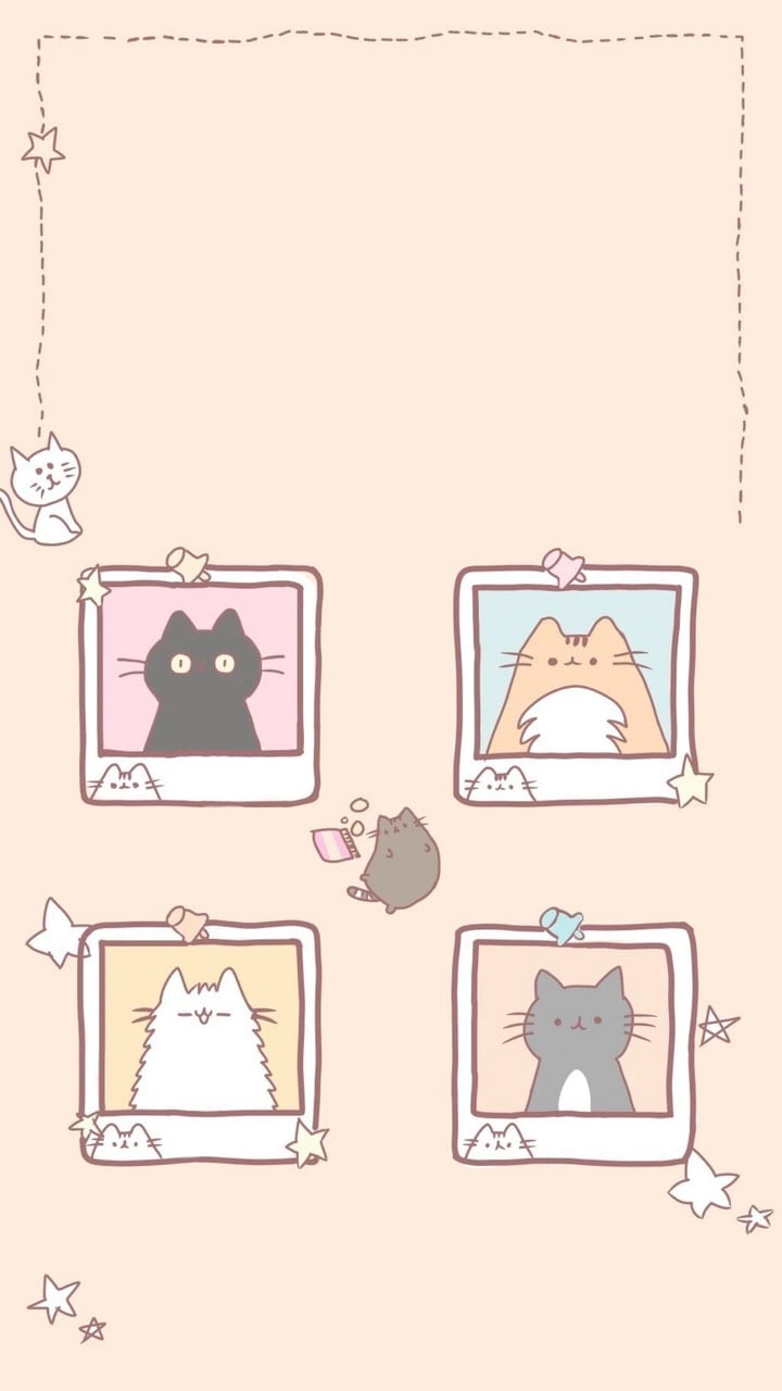 Kawaii Cats discovered by ₊˚✧