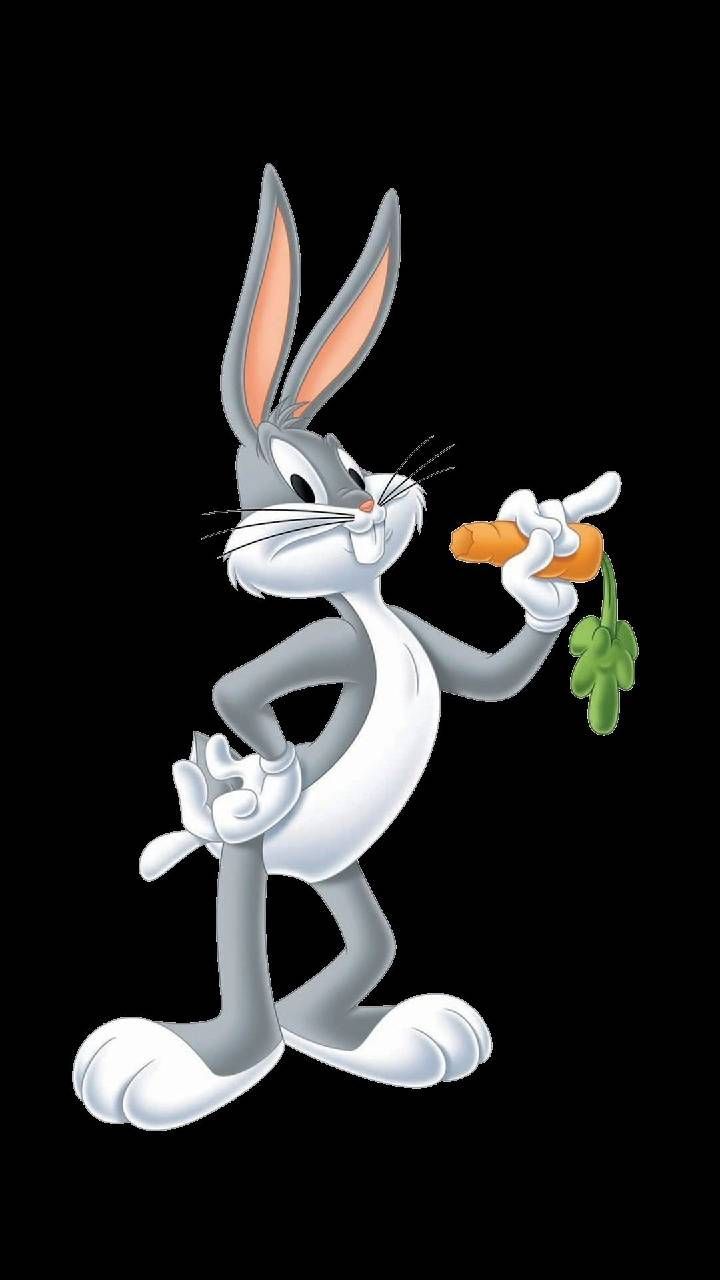 Bugs Bunny Looney Tunes Wallpaper Free Bugs Bunny Looney Tunes Background