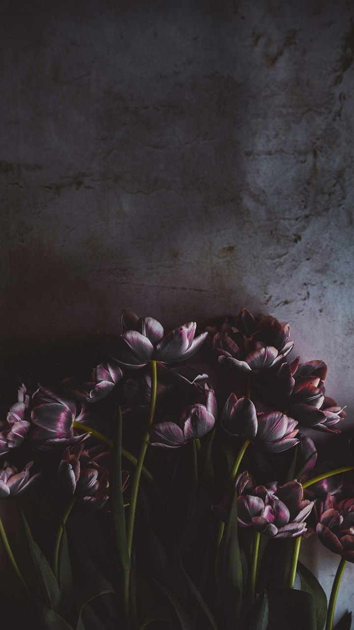 Wallpaper, Flowers, And iPhone Image Flower HD Wallpaper