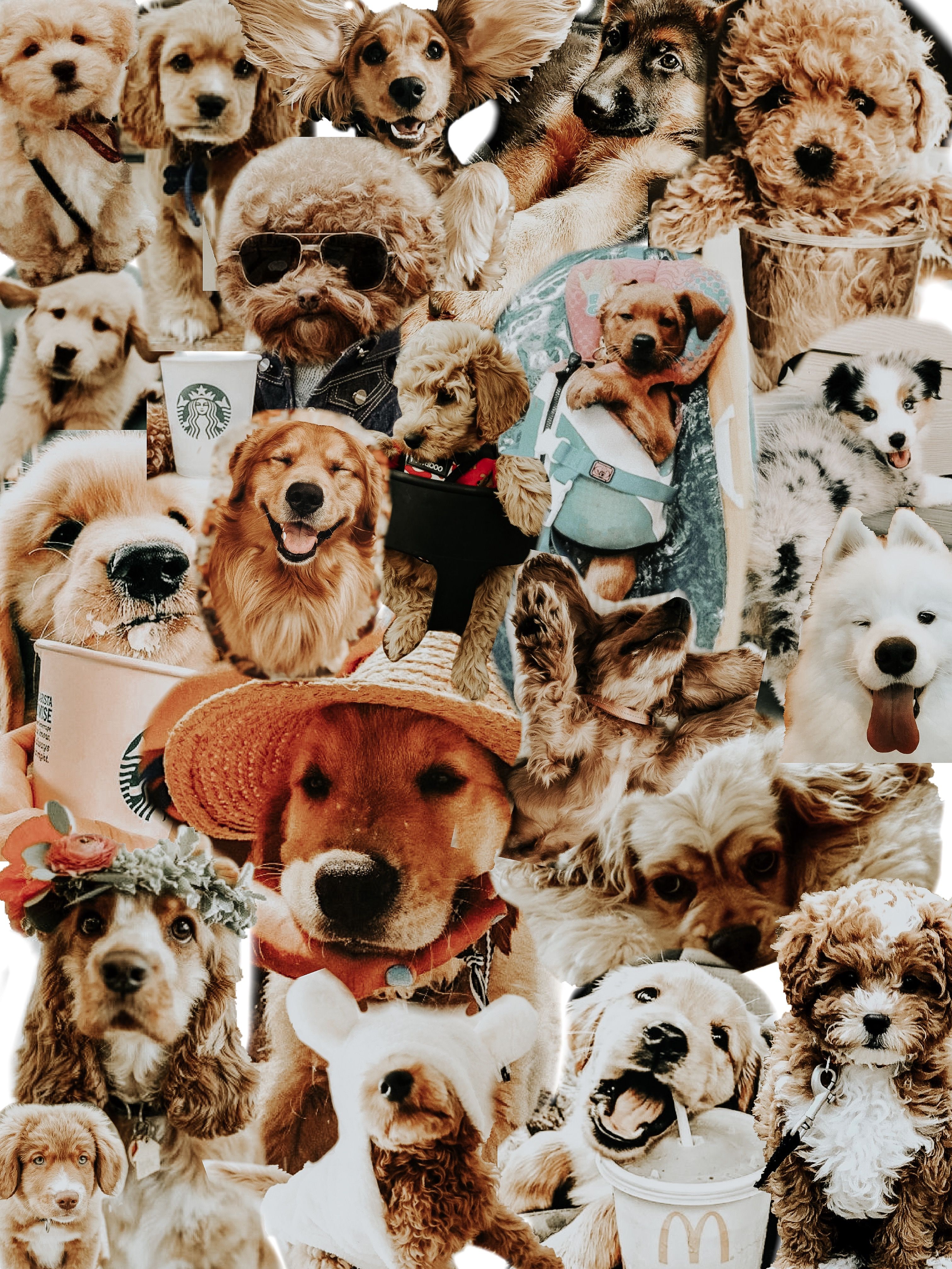 Dog Collage <3. Puppies, Aesthetic iphone wallpaper, Lion sculpture