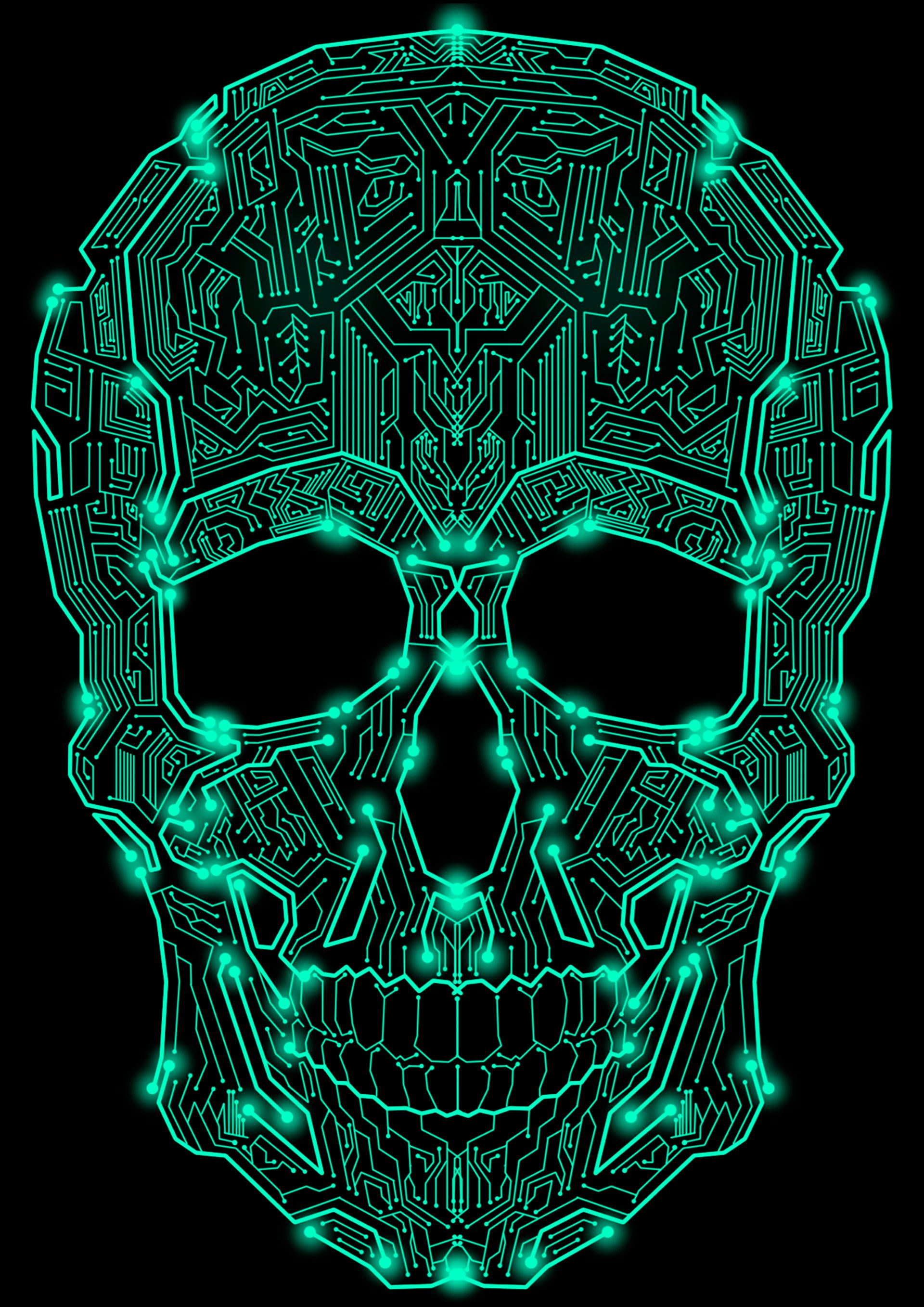 Circuit Skull. Skull art, Art wallpaper, Art