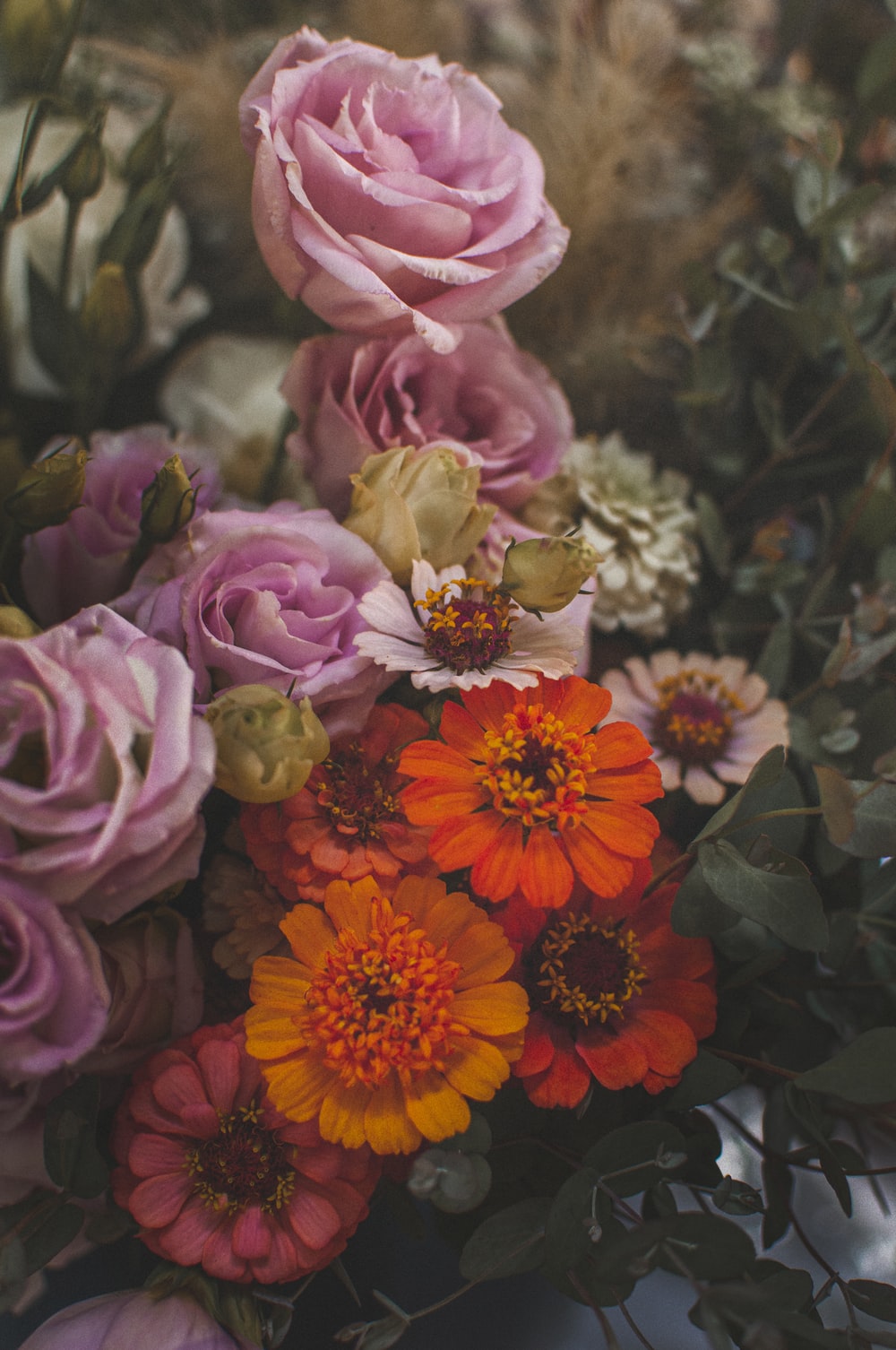 Fall Flowers Picture. Download Free Image