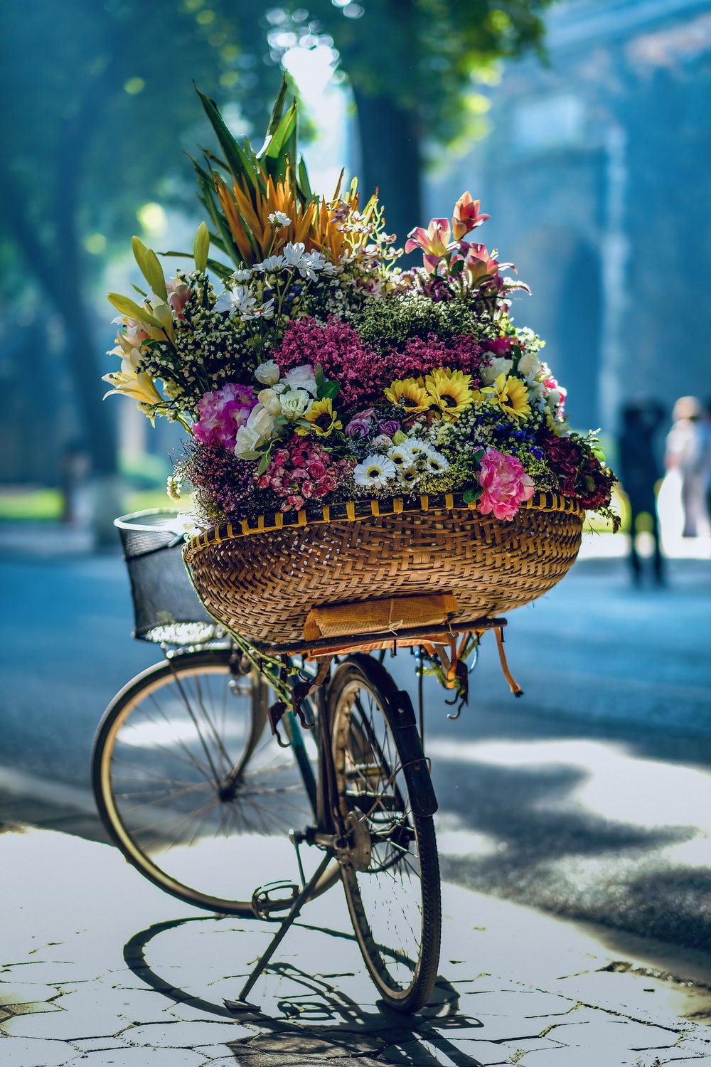 Autumn Flower Picture. Download Free Image