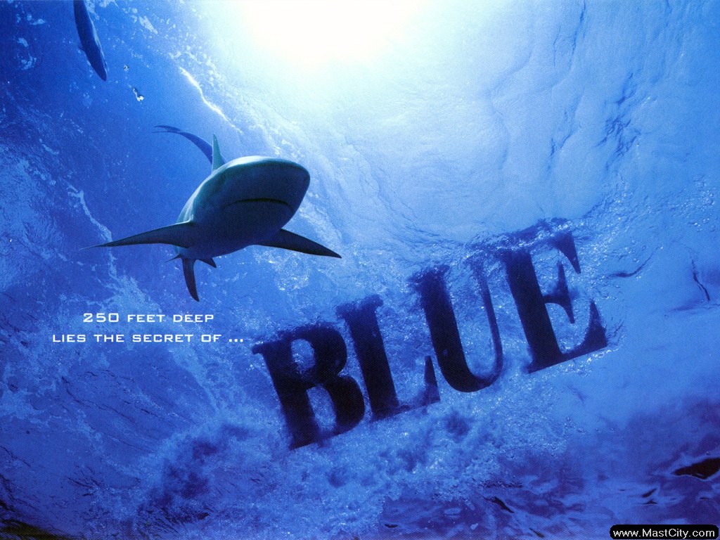 Shark fish in blue wallpaper. Shark fish in blue