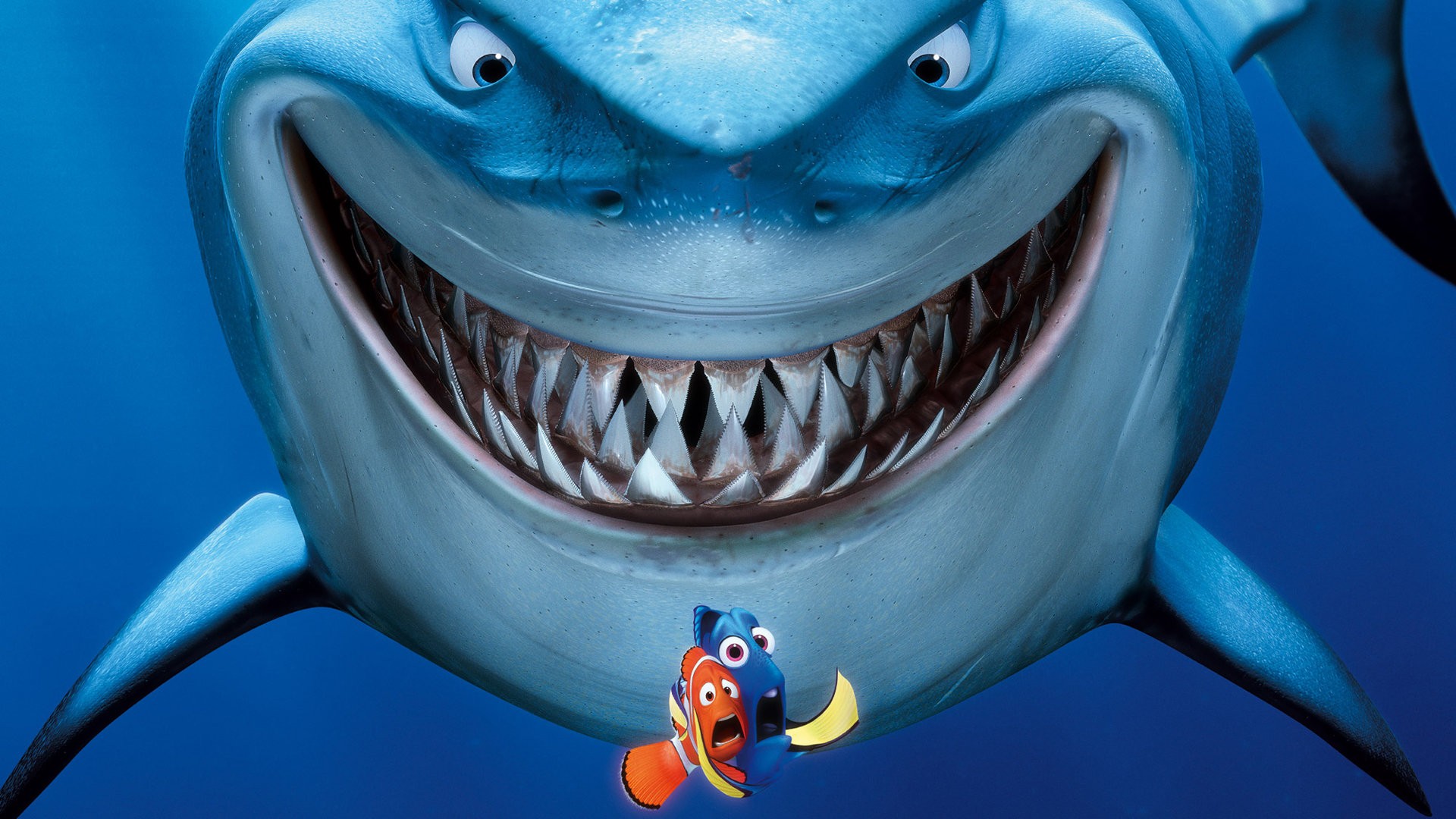 Wallpaper, illustration, shark, blue, underwater, Pixar Animation Studios, Disney Pixar, Finding Nemo, screenshot, computer wallpaper, marine biology, cartilaginous fish 1920x1080