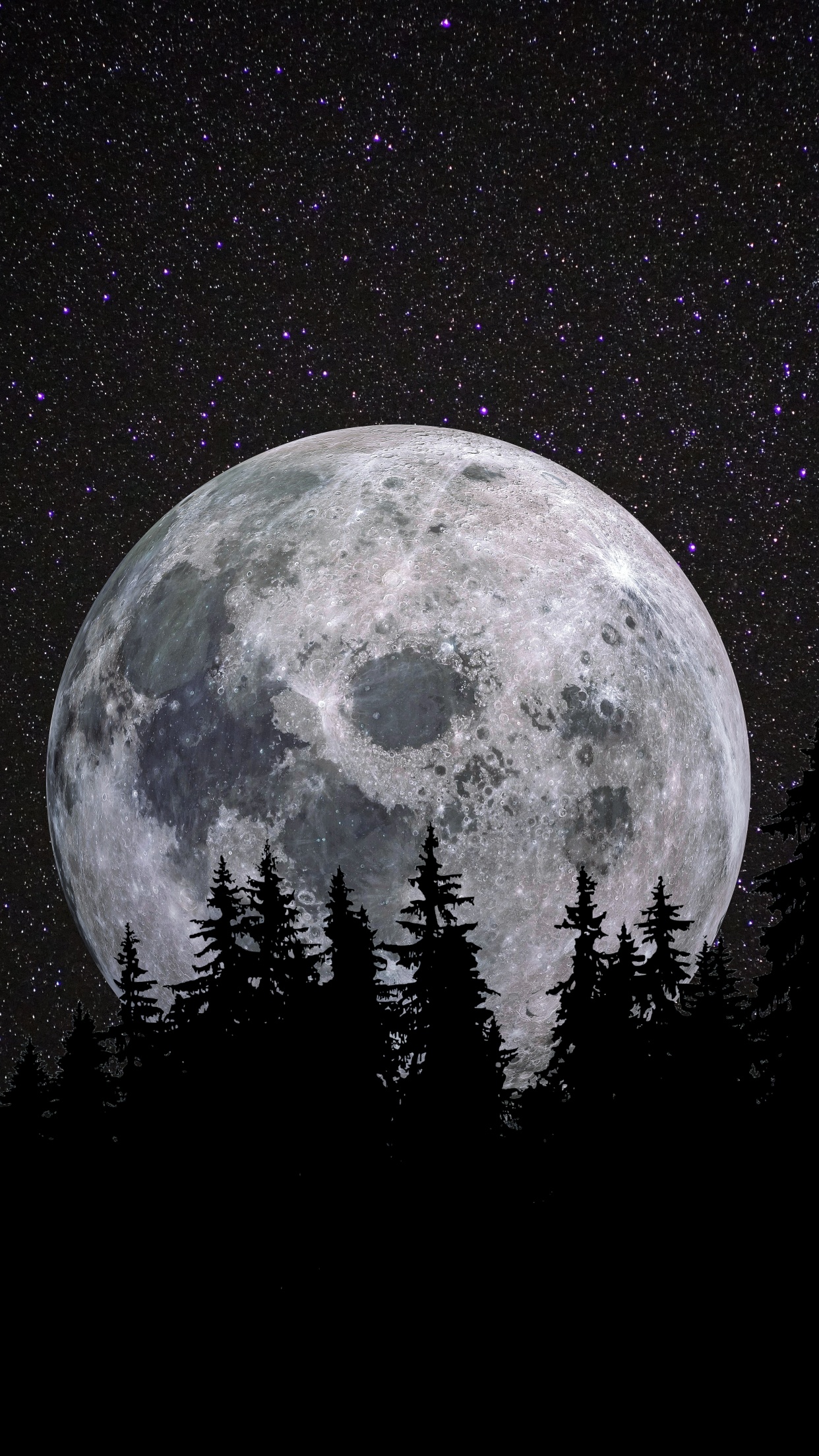 Full moon Wallpaper 4K, Forest, Night, Dark, Starry sky, 5K, 8K, Nature