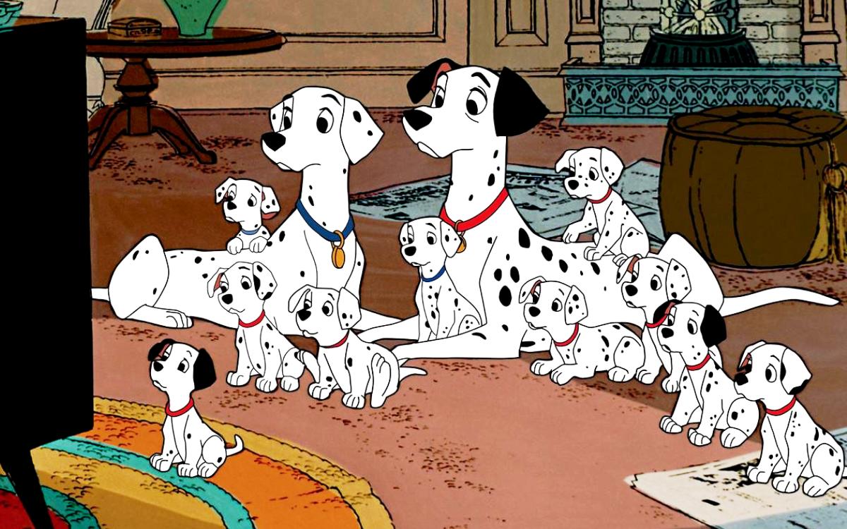 Dalmatians Wallpaper