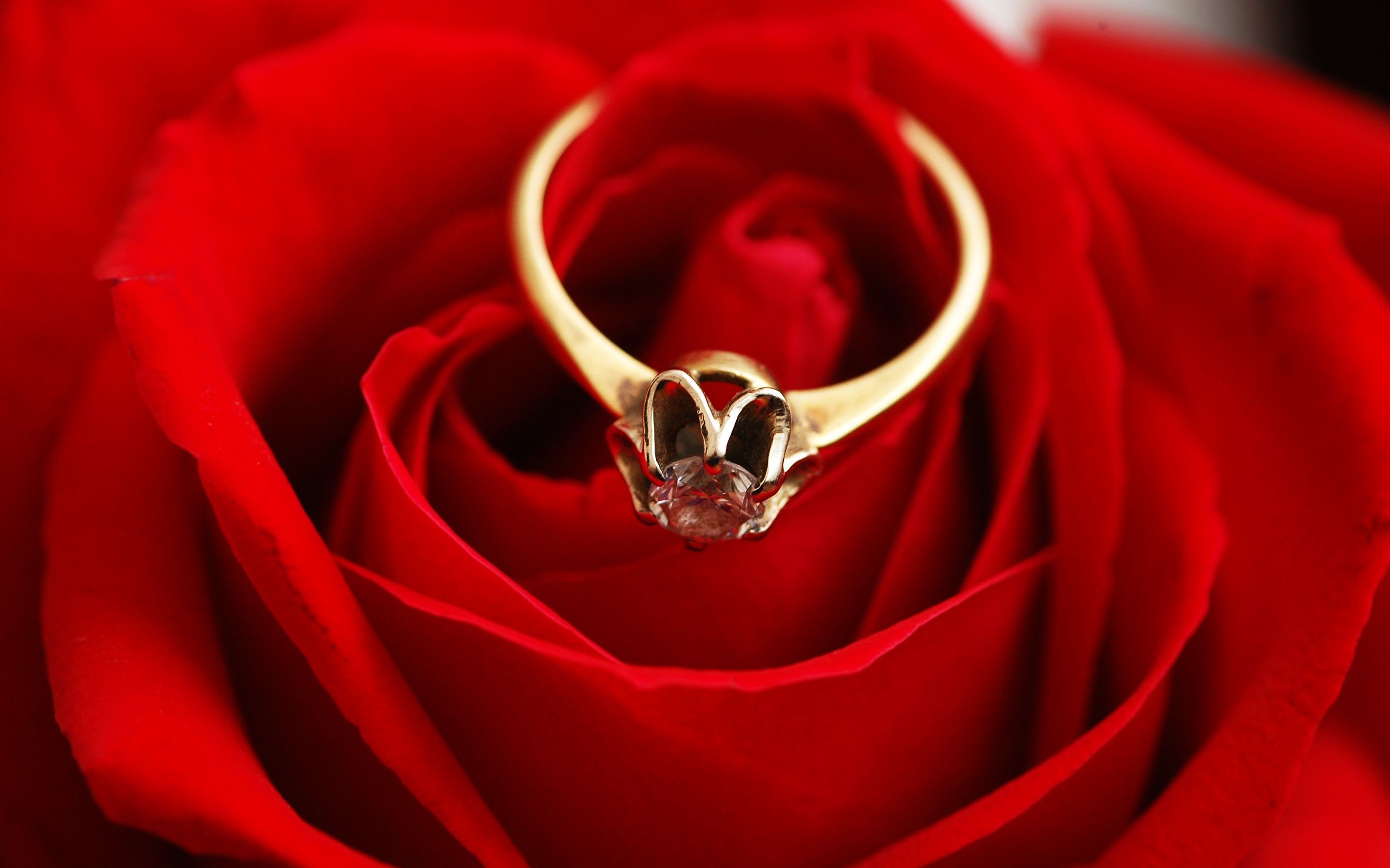 Rings And Roses Wallpapers - Wallpaper Cave