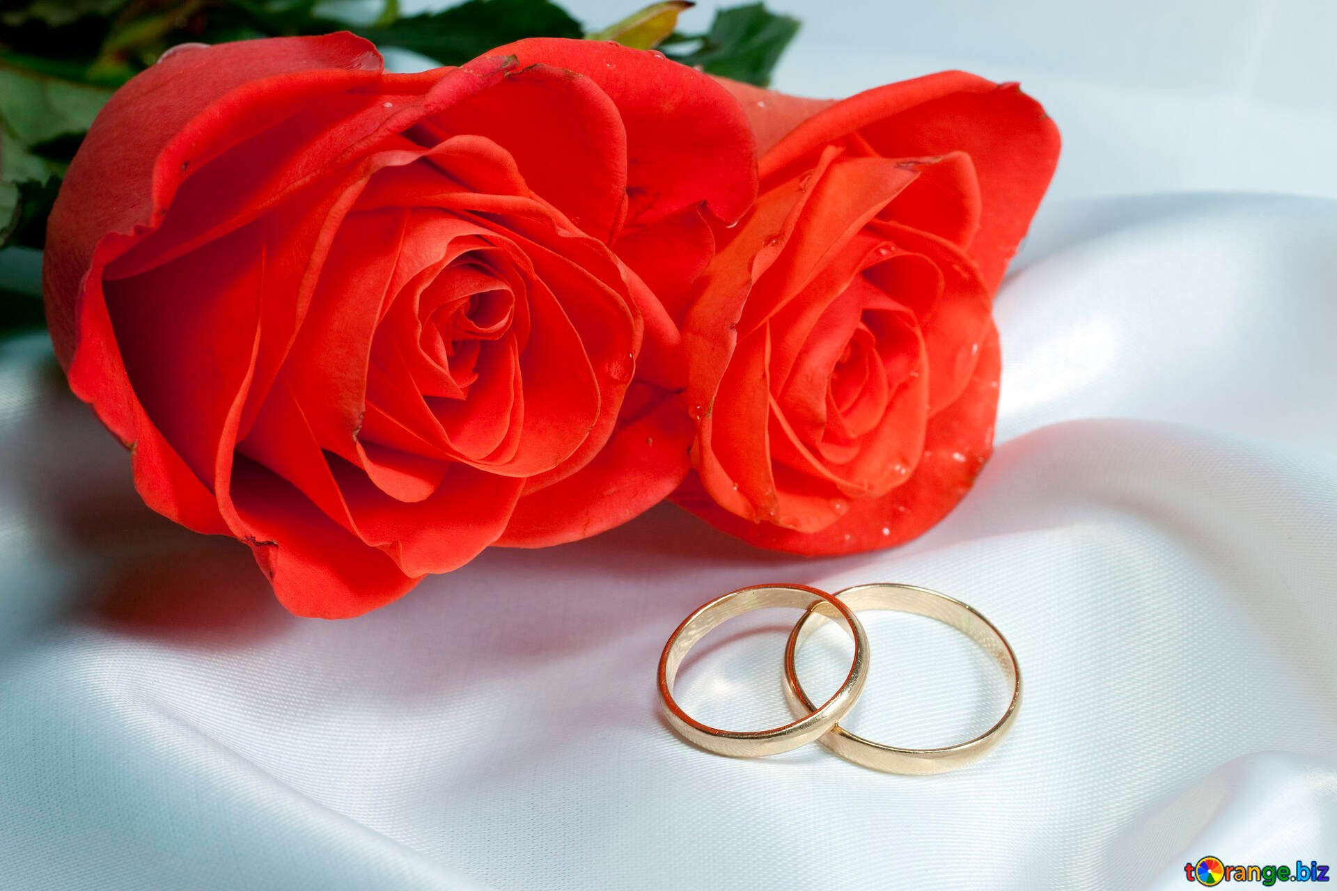 Rings And Roses Wallpapers - Wallpaper Cave