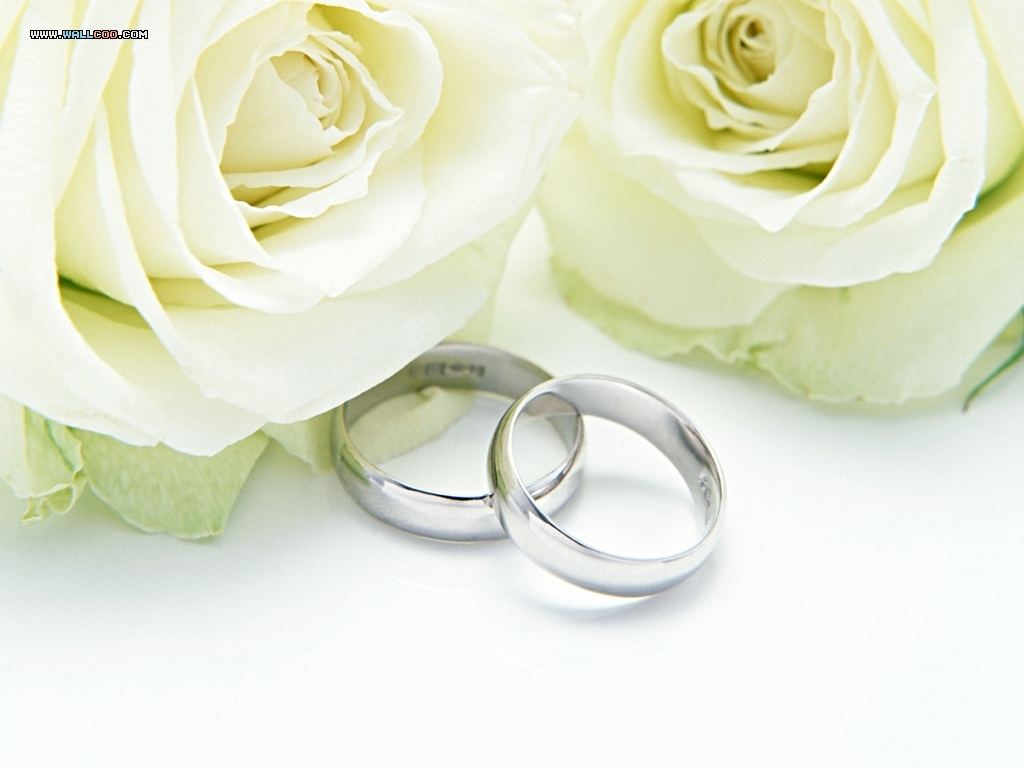 Wedding Wallpaper Rings And Roses