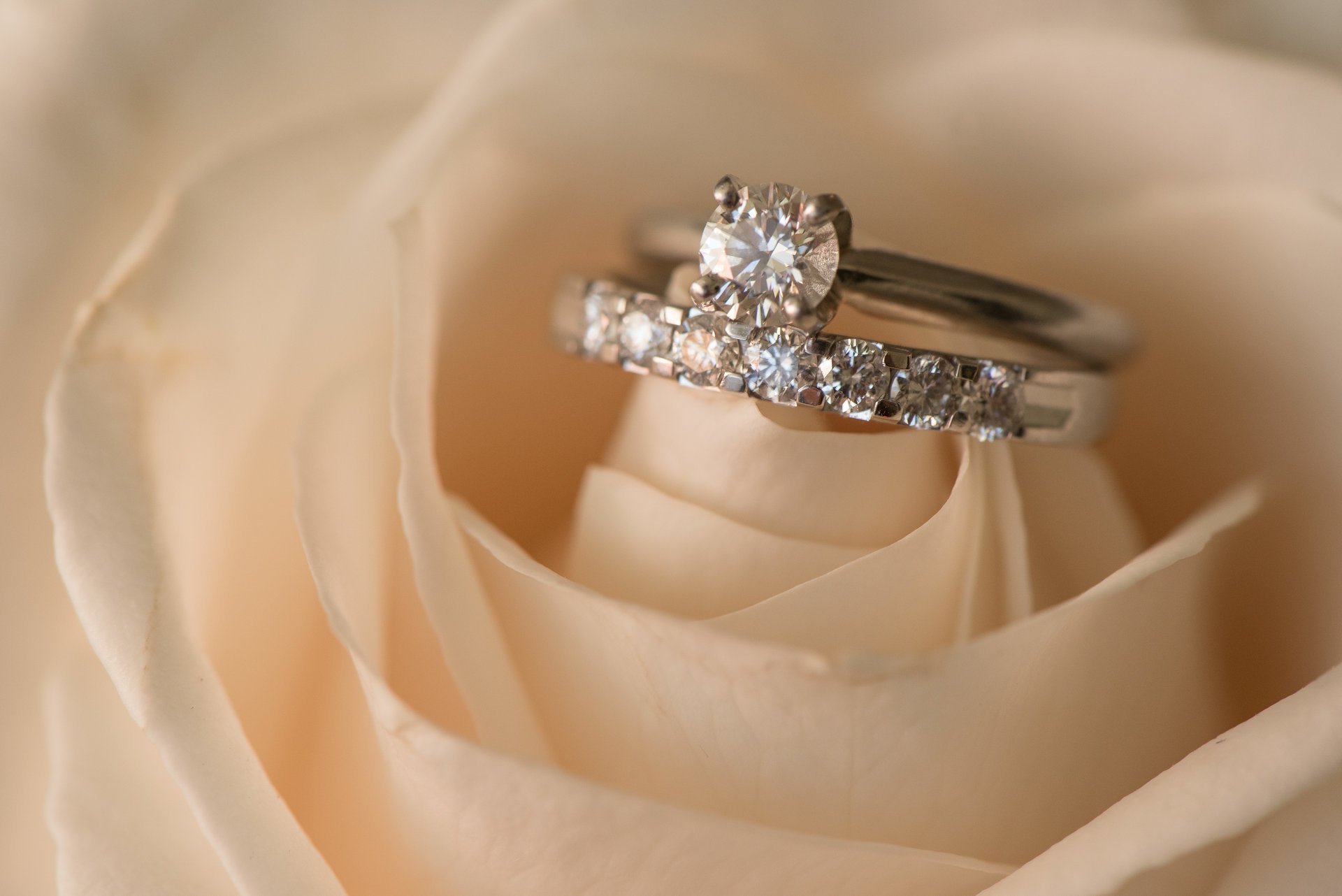 Wedding Rings Rose Flower Ring HD Wallpaper