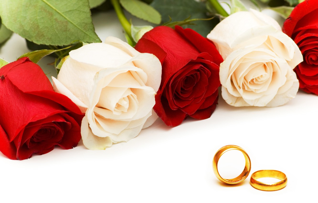 Wallpaper roses, ring, rose, ring, wedding, Wedding image for desktop, section праздники