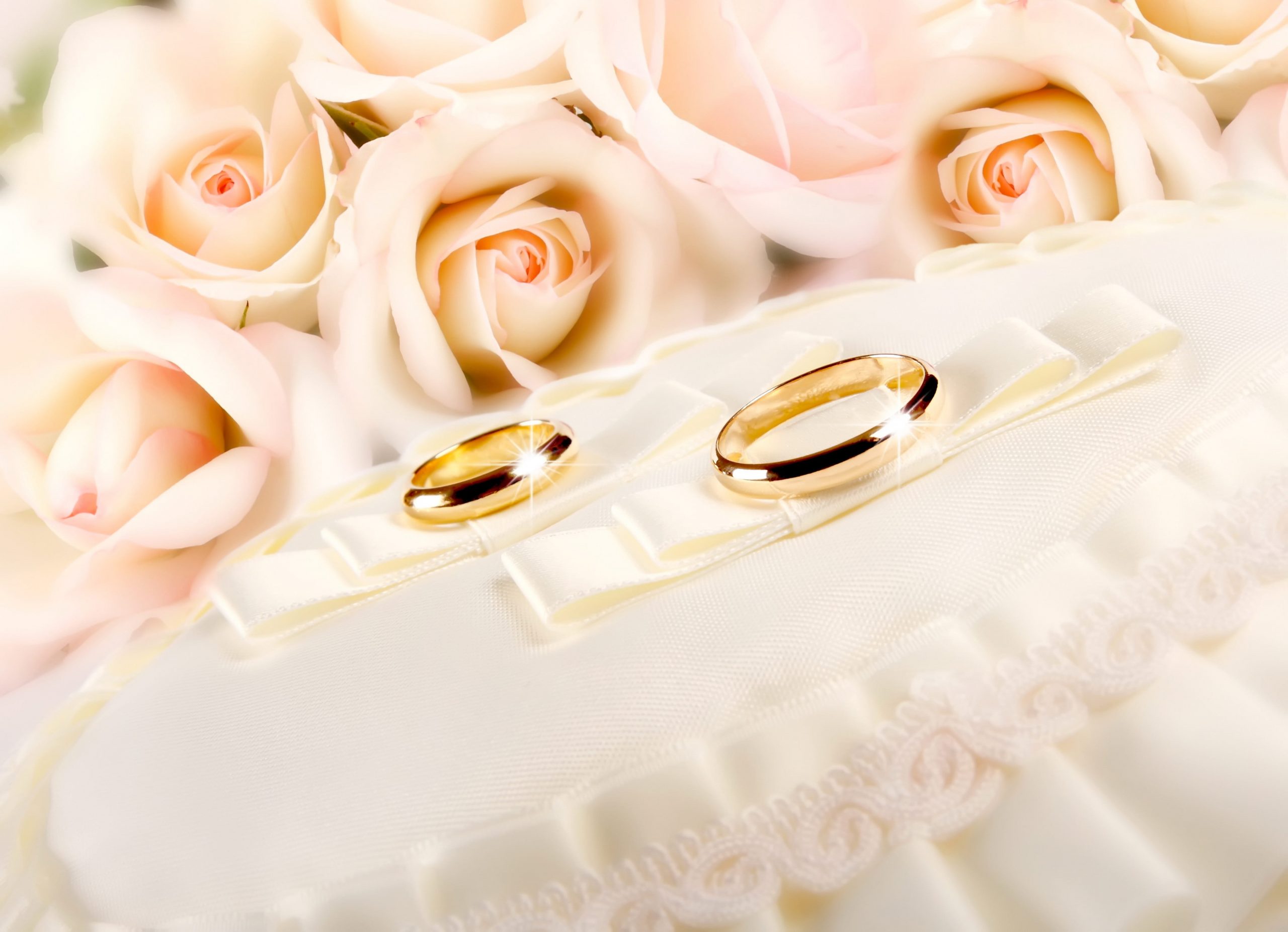 Wallpaper Two Gold Colored Wedding Rings, Glitter, Fabric, Flower, Rose • Wallpaper For You HD Wallpaper For Desktop & Mobile