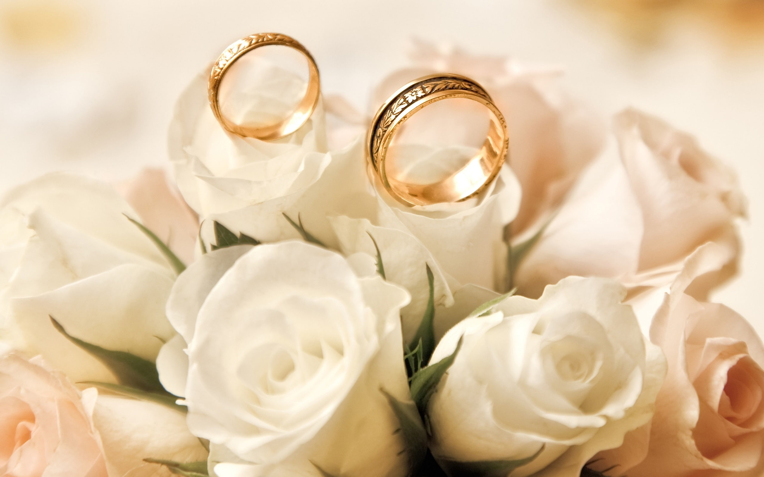 Rings And Roses Wallpapers - Wallpaper Cave