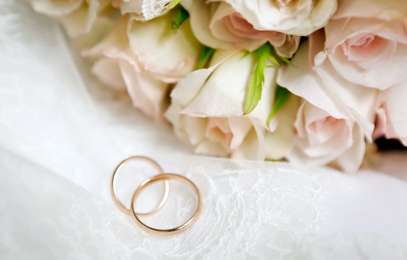 Wallpaper flowers, roses, flowers, engagement rings, roses, wedding rings image for desktop, section праздники