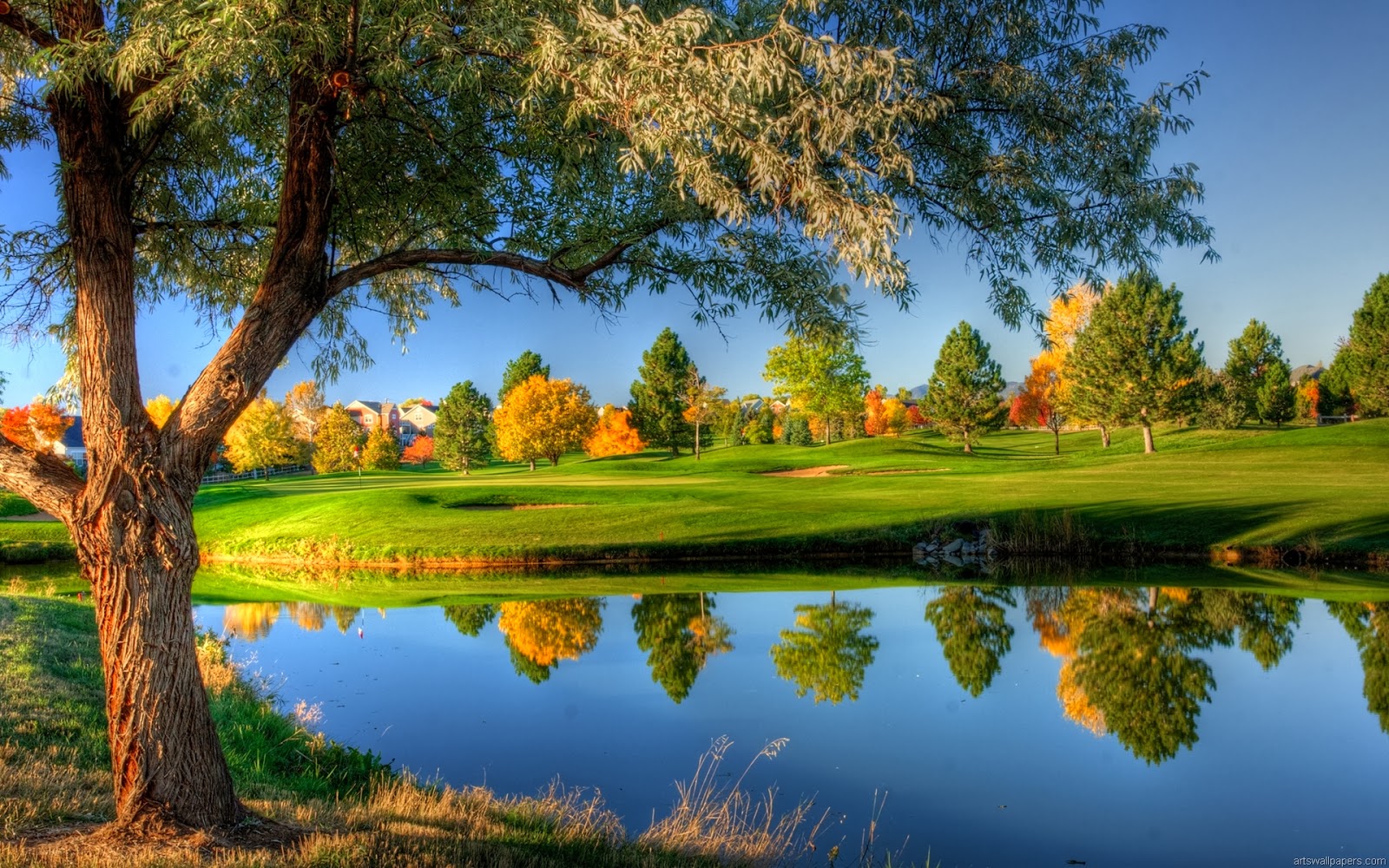 Nature Image Wallpaper: Golf Club Green Nature Place HD Background Desktop Picture