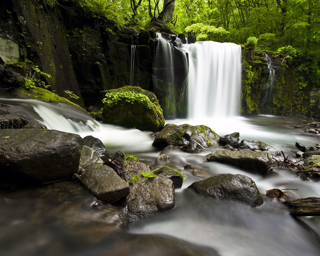 Most Beautiful Wallpaper