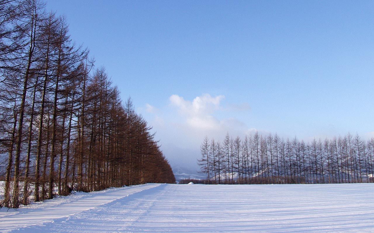 Best Natural Places Around The World Hq Wallpaper Places HD Wallpaper