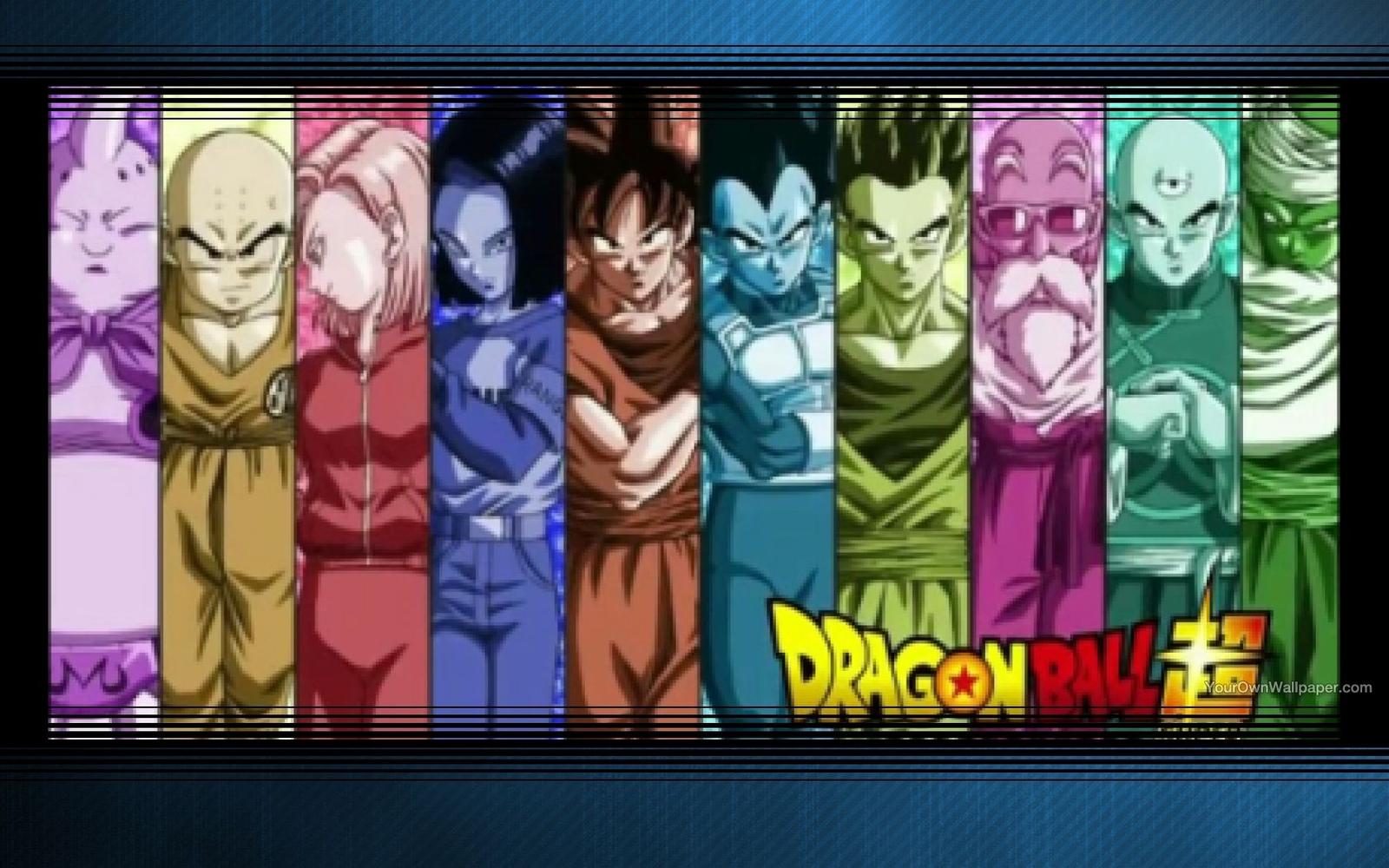 Dragon Ball Universe Fighters Wallpaper