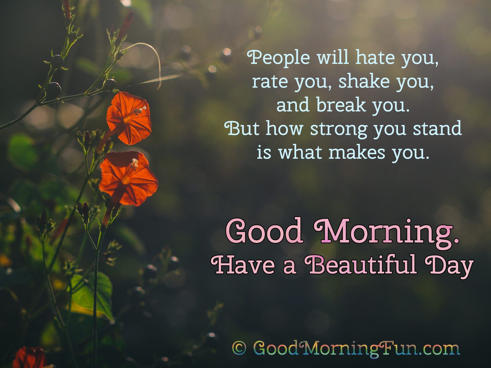 How strong you stand is what makes you Good Morning Quotes. Good morning inspirational quotes, Good morning image, Morning image