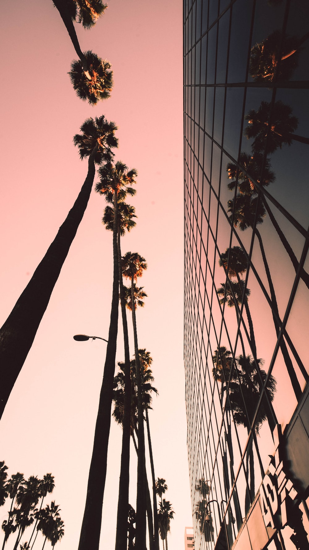 Los Angeles Wallpaper. Download Free Image