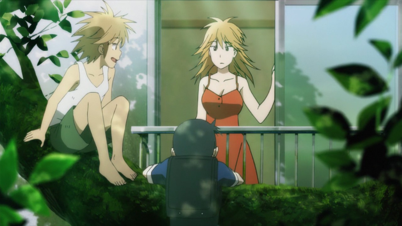 First Impressions no Mori in Anime